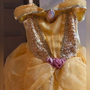 Golden Princess Dress with Pink Rose Accents